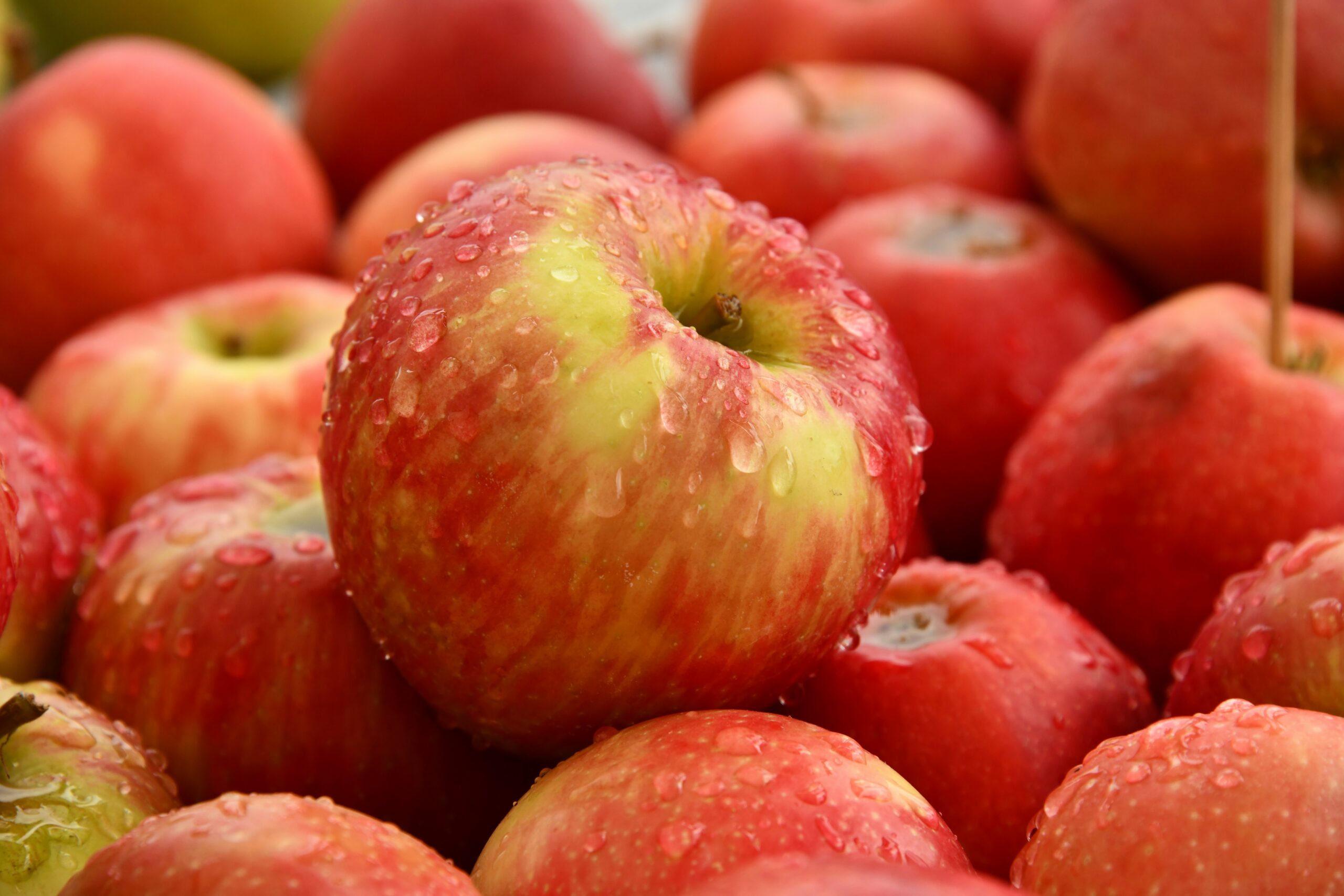 Apple - Image 3