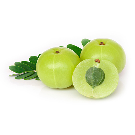 Amla - Image 4