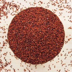 Ragi